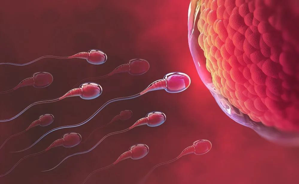 精子战争2破解版：虚拟现实战场，激烈对抗引爆快感