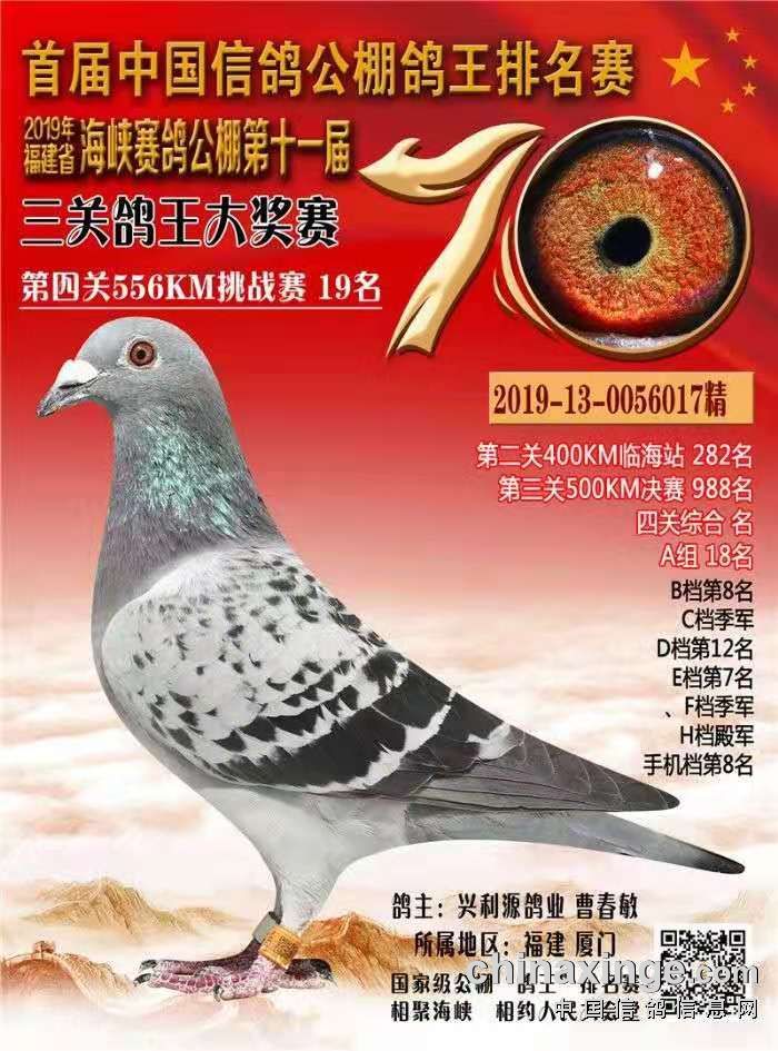 皇族ryl_皇族vv_皇族李先生