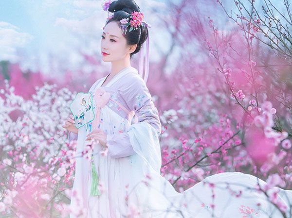 摇钱树游戏：努力摇晃大树，收获满满果实与金币的手机应用