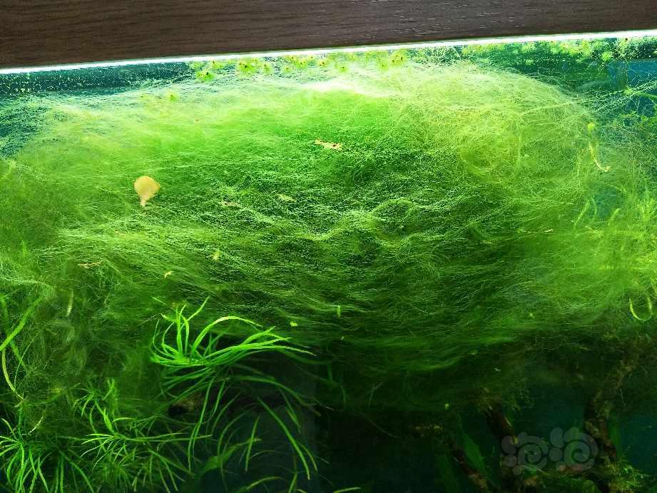 95差一点用完,能加92吗_95差一点用完,能加92吗_95差一点用完,能加92吗