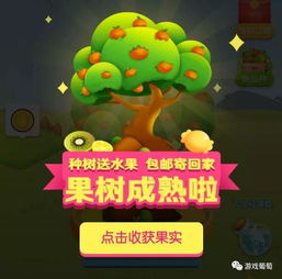 头条多多 