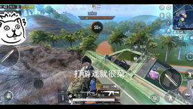 菜菜音乐盒app官方版 菜菜音乐盒app官方版