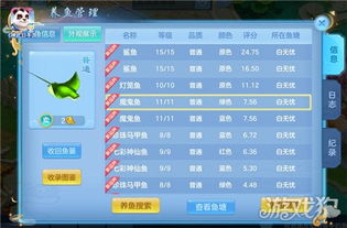 玩锦鲤游戏,揭秘现代社交娱乐的神秘魅力