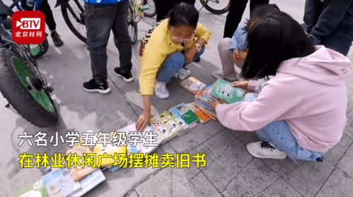 摆摊料理模拟器 