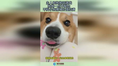 搜狗游戏盒子 